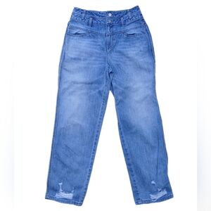 Stylish Blue Boyfriend Jeans